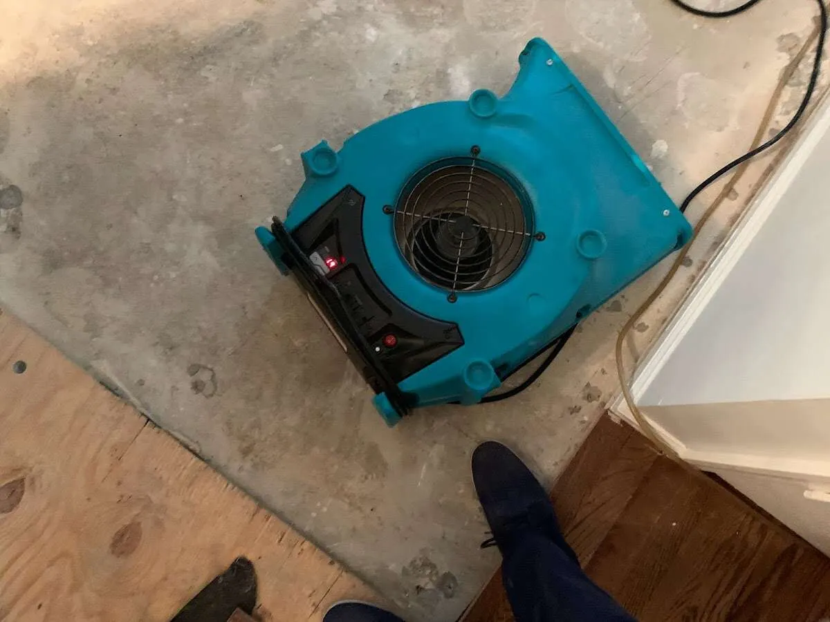 Air mover drying subfloor during Leak Detection & Repair in Bryn Mawr-Skyway